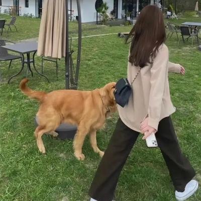 小美人鱼2：重返大海 海报
