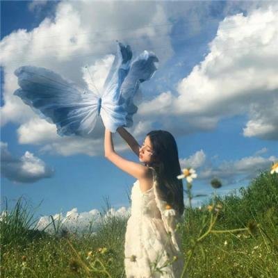 54俱乐部 海报
